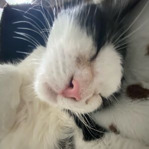 Meet your Posher, Liana